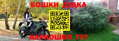 прущие крисы Можайск