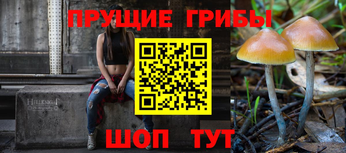 Галлюциногенные грибы мухоморы Черняховск